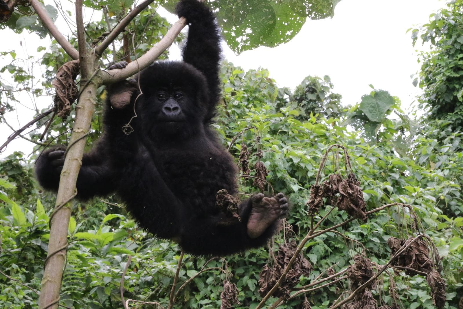 Wildlife and nature experience in East Africa