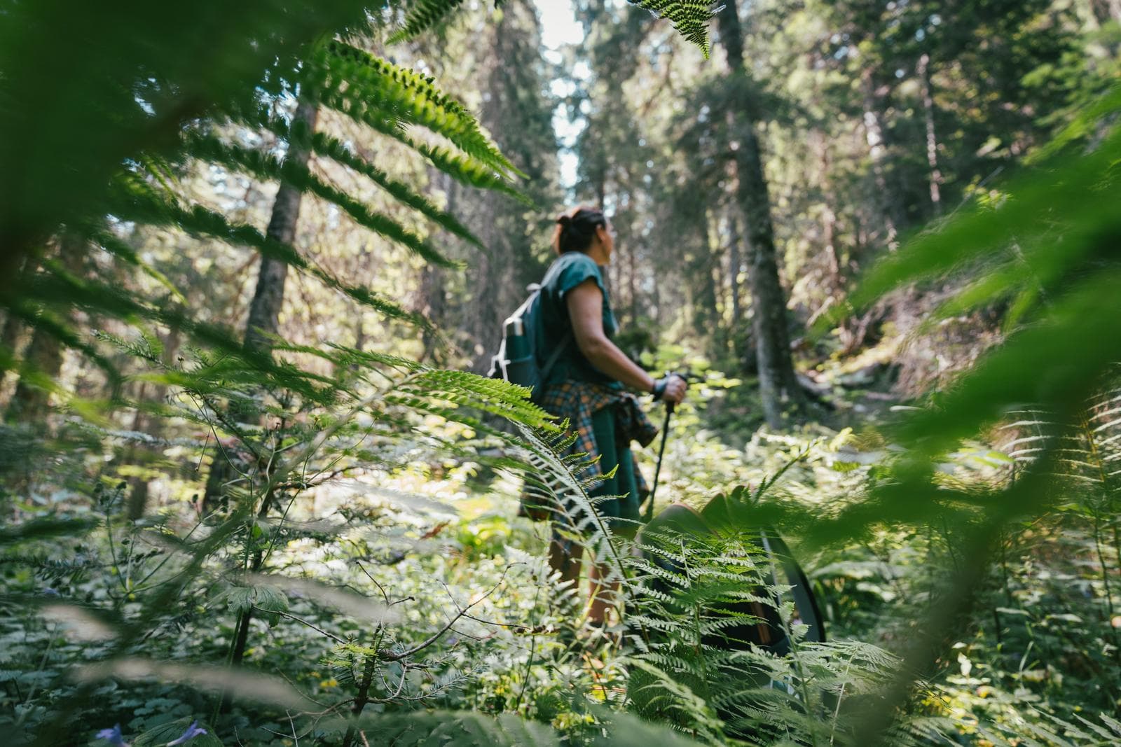 Traveler exploring an East African wilderness